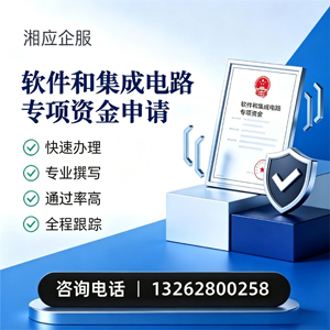 漳州软件和集成电路专项资金申报服务