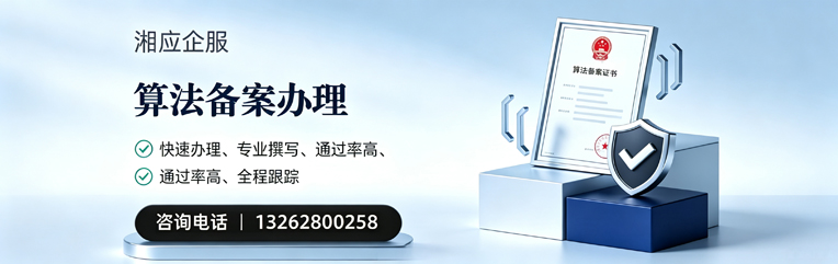 漳州算法备案申报服务