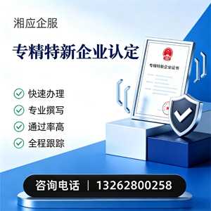 漳州专精特新企业申报服务