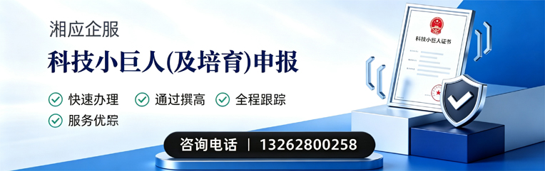 漳州科技小巨人及培育企业申报服务