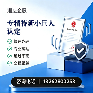 漳州专精特新小巨人申报服务