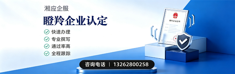 漳州瞪羚企业认定申报服务
