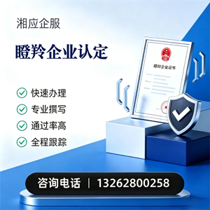 漳州瞪羚企业认定申报服务