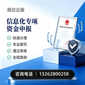 漳州信息化专项资金申报服务