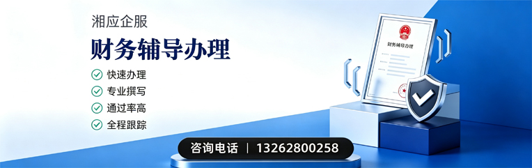 漳州财务辅导申请服务