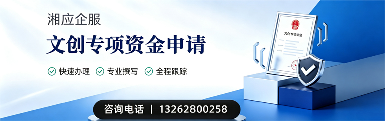 漳州文创专项资金申报服务
