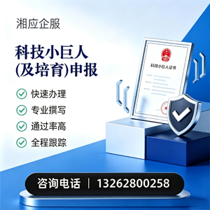 漳州科技小巨人及培育企业申报服务