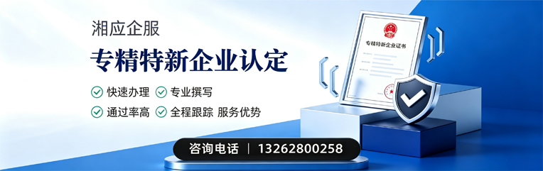漳州专精特新企业申报服务