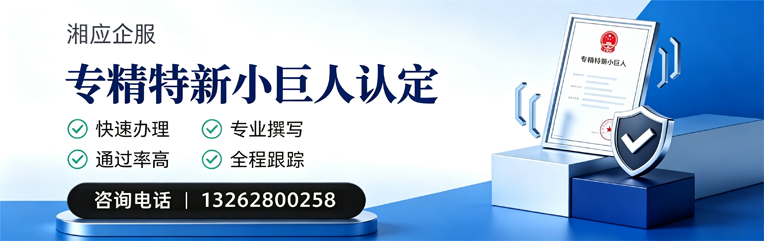 漳州专精特新小巨人申报服务